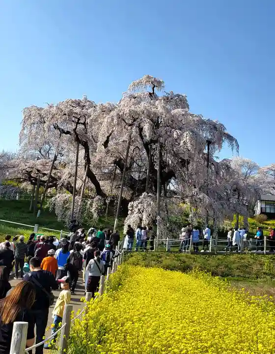 瀧桜神明宮(福島県)