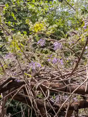 藤神稲荷神社(東京都)