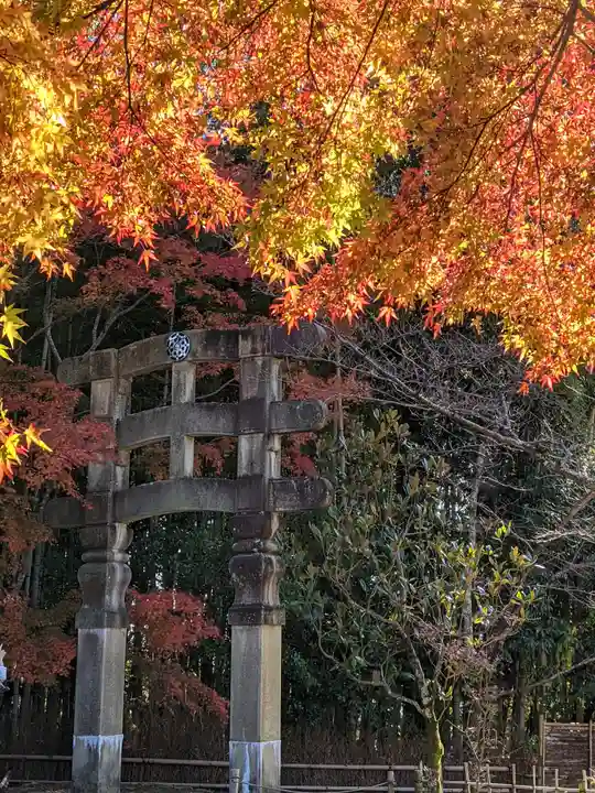 化野念仏寺の鳥居