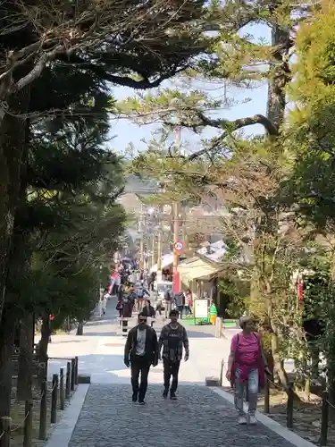 慈照寺（慈照禅寺・銀閣寺）(京都府)