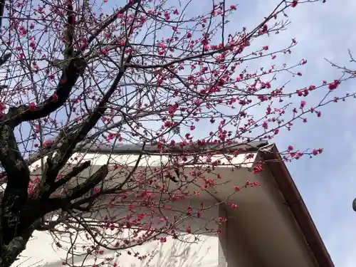下長津田神社(神奈川県)