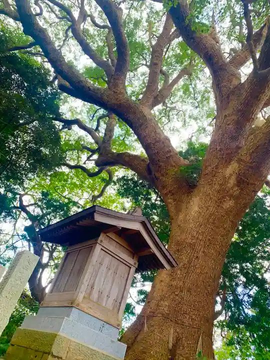大宮皇神(福岡県)