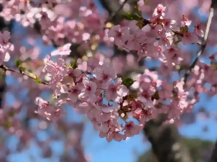 普門院の{uncategorized: "未分類", other: "その他", undefined: "問題あり", building: "その他建物", grave: "お墓", sacred_gate: "鳥居", guardian: "狛犬", statue: "像", buddha: "仏像", history: "歴史", nature: "自然", garden: "庭園", animal: "動物", pagoda: "塔", temizu: "手水舎", mountain_gate: "山門・神門", sanctuary: "本殿・本堂", subordinate: "末社・摂社", art: "芸術", scenery: "景色", jizo: "地蔵", ema: "絵馬", goshuin: "御朱印", omikuji: "おみくじ", items: "授与品その他", amulet: "お守り", goshuincho: "御朱印帳", eats: "食事", festival: "お祭り", votive_dance: "神楽", shichigosan: "七五三参", wedding: "結婚式", experience: "体験その他", initially: "初詣", around: "周辺", anti_infection: "感染症対策"}