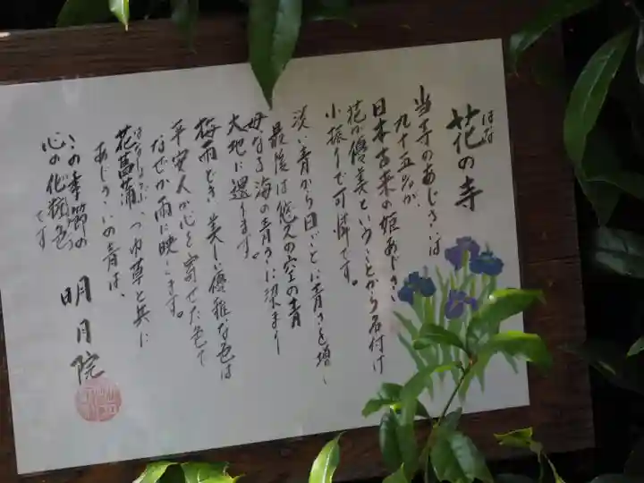 明月院(神奈川県)