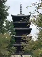 仁和寺の塔