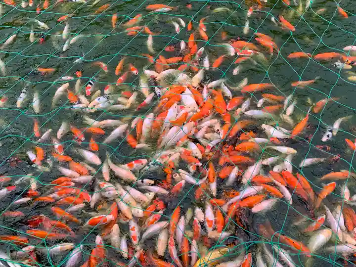 大國神社(宮城県)