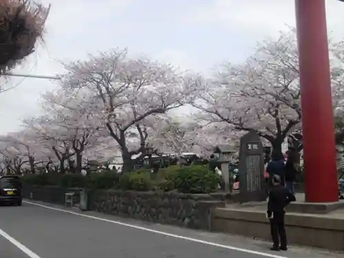 鶴岡八幡宮の自然
