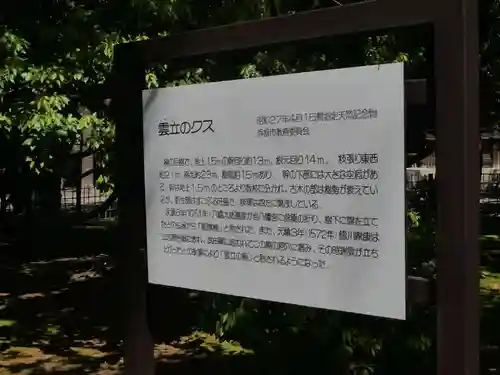 浜松八幡宮の自然