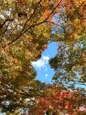 柳谷観音　楊谷寺(京都府)