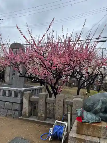綱敷天満宮(兵庫県)