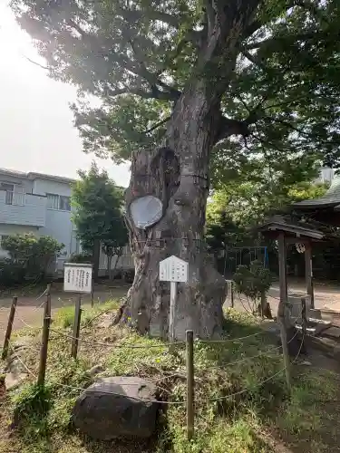 日隅神社(静岡県)