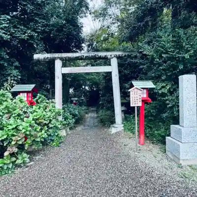 鷲宮神社(埼玉県)