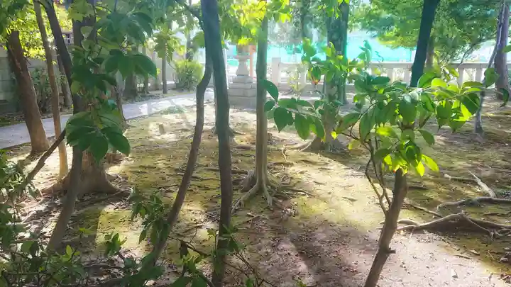 宗形神社の景色