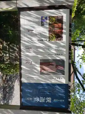 園城寺（三井寺）(滋賀県)