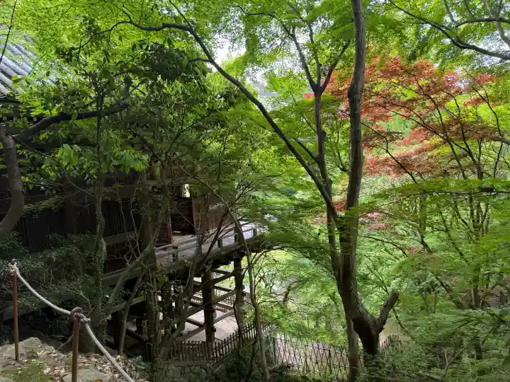 圓教寺の{uncategorized: "未分類", other: "その他", undefined: "問題あり", building: "その他建物", grave: "お墓", sacred_gate: "鳥居", guardian: "狛犬", statue: "像", buddha: "仏像", history: "歴史", nature: "自然", garden: "庭園", animal: "動物", pagoda: "塔", temizu: "手水舎", mountain_gate: "山門・神門", sanctuary: "本殿・本堂", subordinate: "末社・摂社", art: "芸術", scenery: "景色", jizo: "地蔵", ema: "絵馬", goshuin: "御朱印", omikuji: "おみくじ", items: "授与品その他", amulet: "お守り", goshuincho: "御朱印帳", eats: "食事", festival: "お祭り", votive_dance: "神楽", shichigosan: "七五三参", wedding: "結婚式", experience: "体験その他", initially: "初詣", around: "周辺", anti_infection: "感染症対策"}