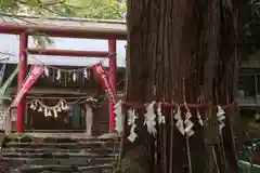 磐椅神社の鳥居