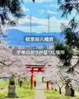 蚊里田八幡宮の{uncategorized: "未分類", other: "その他", undefined: "問題あり", building: "その他建物", grave: "お墓", sacred_gate: "鳥居", guardian: "狛犬", statue: "像", buddha: "仏像", history: "歴史", nature: "自然", garden: "庭園", animal: "動物", pagoda: "塔", temizu: "手水舎", mountain_gate: "山門・神門", sanctuary: "本殿・本堂", subordinate: "末社・摂社", art: "芸術", scenery: "景色", jizo: "地蔵", ema: "絵馬", goshuin: "御朱印", omikuji: "おみくじ", items: "授与品その他", amulet: "お守り", goshuincho: "御朱印帳", eats: "食事", festival: "お祭り", votive_dance: "神楽", shichigosan: "七五三参", wedding: "結婚式", experience: "体験その他", initially: "初詣", around: "周辺", anti_infection: "感染症対策"}