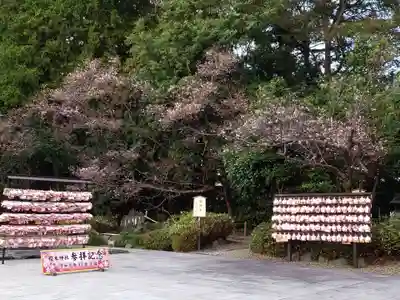 櫻木神社のその他建物