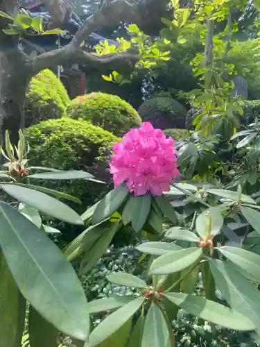 冠稲荷神社(群馬県)