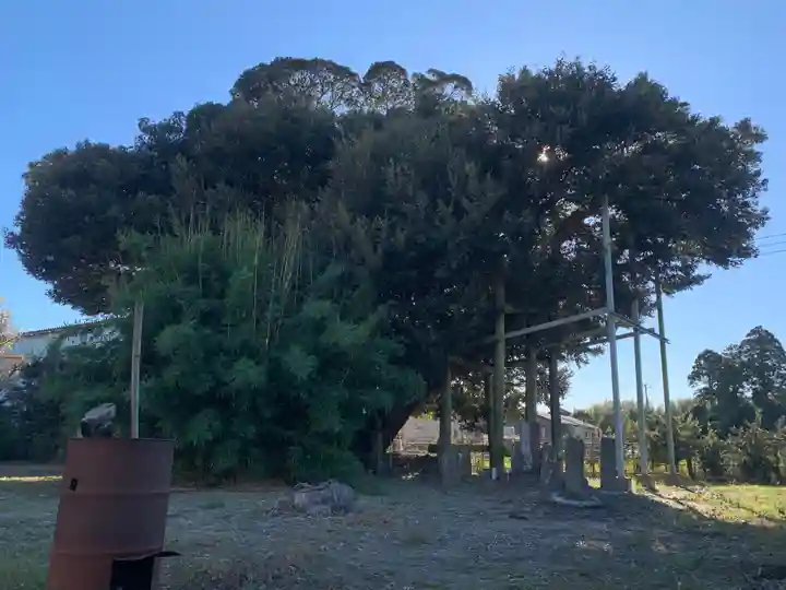 安養寺(千葉県)