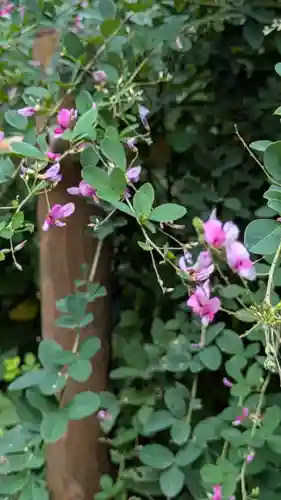 梨木神社(京都府)