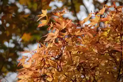 龍福寺(山口県)