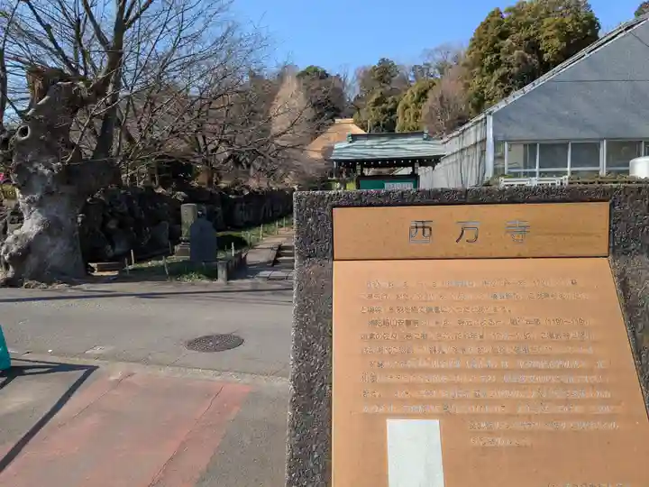 横浜 西方寺(神奈川県)