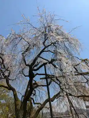 大石神社(京都府)