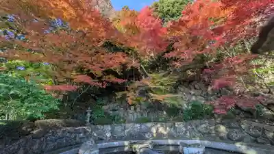 善峯寺(京都府)