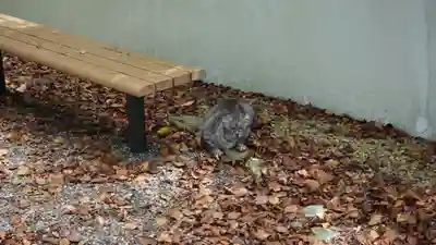 妙見神社(徳島県)