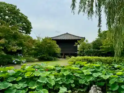 東寺（教王護国寺）(京都府)
