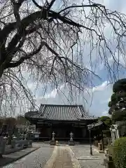 幸延寺(神奈川県)