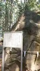 瀧泉神社の自然