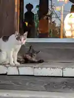 櫻山神社(岩手県)