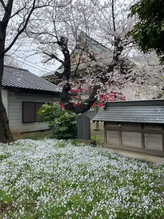 千葉寺の{uncategorized: "未分類", other: "その他", undefined: "問題あり", building: "その他建物", grave: "お墓", sacred_gate: "鳥居", guardian: "狛犬", statue: "像", buddha: "仏像", history: "歴史", nature: "自然", garden: "庭園", animal: "動物", pagoda: "塔", temizu: "手水舎", mountain_gate: "山門・神門", sanctuary: "本殿・本堂", subordinate: "末社・摂社", art: "芸術", scenery: "景色", jizo: "地蔵", ema: "絵馬", goshuin: "御朱印", omikuji: "おみくじ", items: "授与品その他", amulet: "お守り", goshuincho: "御朱印帳", eats: "食事", festival: "お祭り", votive_dance: "神楽", shichigosan: "七五三参", wedding: "結婚式", experience: "体験その他", initially: "初詣", around: "周辺", anti_infection: "感染症対策"}