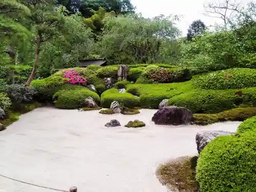 明月院の庭園