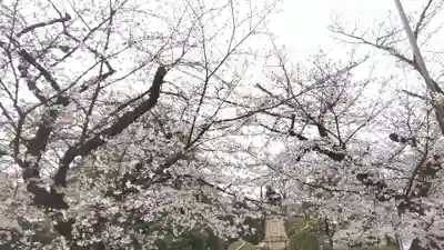 相国寺（相国承天禅寺）(京都府)