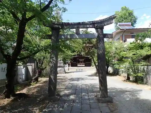 御崎神社の鳥居