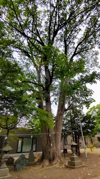 月寒神社の自然