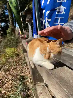 唐澤山神社(栃木県)