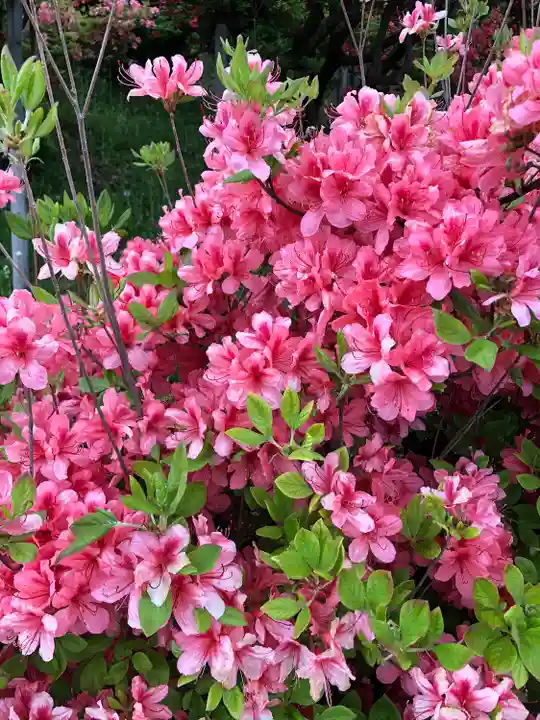 天王神社(青森県)
