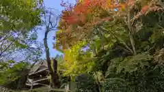 勝持寺（花の寺）(京都府)