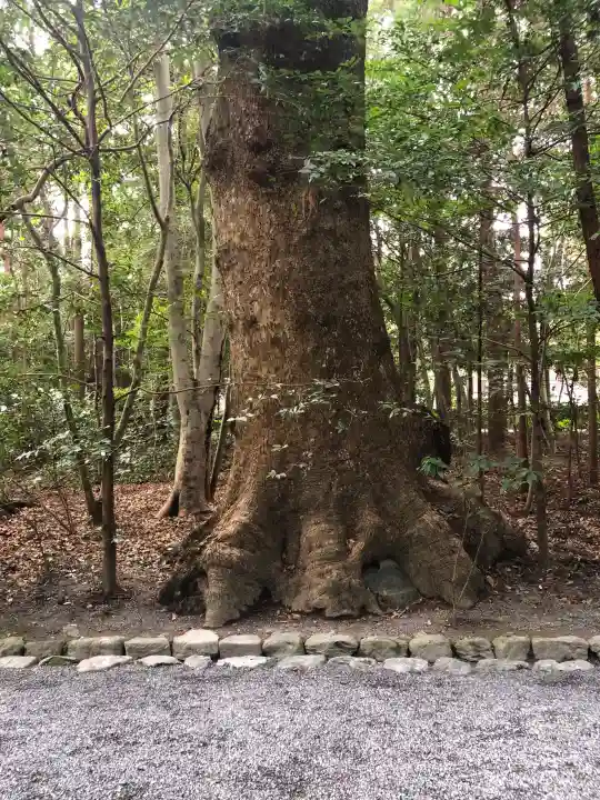 伊勢神宮外宮(豊受大神宮)の御朱印