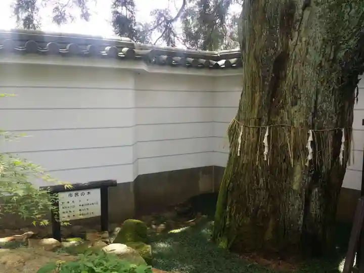 忉利天上寺の自然