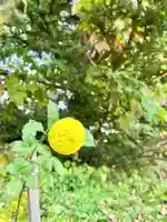 潮見ヶ岡神社の自然