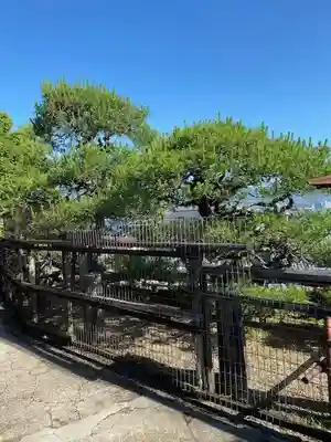 豊国神社 (広島県)