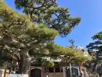 本成寺の{uncategorized: "未分類", other: "その他", undefined: "問題あり", building: "その他建物", grave: "お墓", sacred_gate: "鳥居", guardian: "狛犬", statue: "像", buddha: "仏像", history: "歴史", nature: "自然", garden: "庭園", animal: "動物", pagoda: "塔", temizu: "手水舎", mountain_gate: "山門・神門", sanctuary: "本殿・本堂", subordinate: "末社・摂社", art: "芸術", scenery: "景色", jizo: "地蔵", ema: "絵馬", goshuin: "御朱印", omikuji: "おみくじ", items: "授与品その他", amulet: "お守り", goshuincho: "御朱印帳", eats: "食事", festival: "お祭り", votive_dance: "神楽", shichigosan: "七五三参", wedding: "結婚式", experience: "体験その他", initially: "初詣", around: "周辺", anti_infection: "感染症対策"}