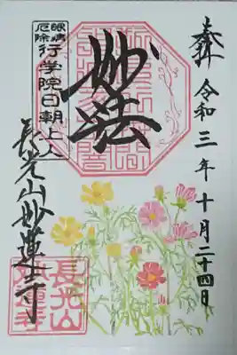 300円 コスモス