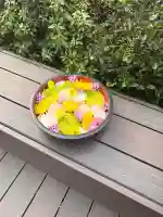 増上寺塔頭 三縁山 宝珠院の{uncategorized: "未分類", other: "その他", undefined: "問題あり", building: "その他建物", grave: "お墓", sacred_gate: "鳥居", guardian: "狛犬", statue: "像", buddha: "仏像", history: "歴史", nature: "自然", garden: "庭園", animal: "動物", pagoda: "塔", temizu: "手水舎", mountain_gate: "山門・神門", sanctuary: "本殿・本堂", subordinate: "末社・摂社", art: "芸術", scenery: "景色", jizo: "地蔵", ema: "絵馬", goshuin: "御朱印", omikuji: "おみくじ", items: "授与品その他", amulet: "お守り", goshuincho: "御朱印帳", eats: "食事", festival: "お祭り", votive_dance: "神楽", shichigosan: "七五三参", wedding: "結婚式", experience: "体験その他", initially: "初詣", around: "周辺", anti_infection: "感染症対策"}