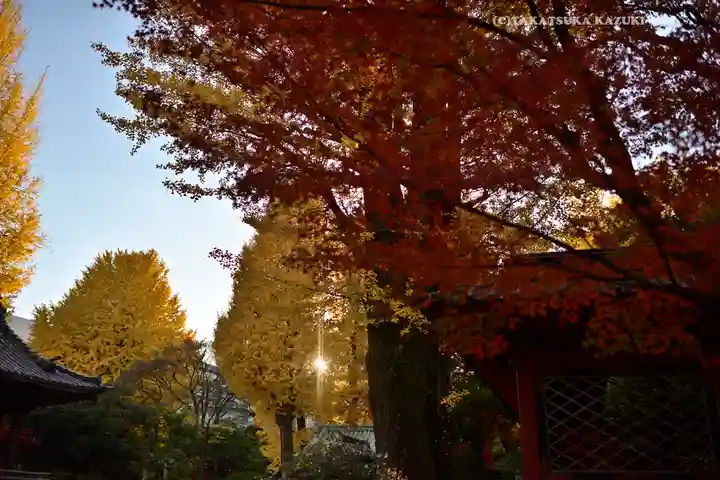 根津神社(東京都)
